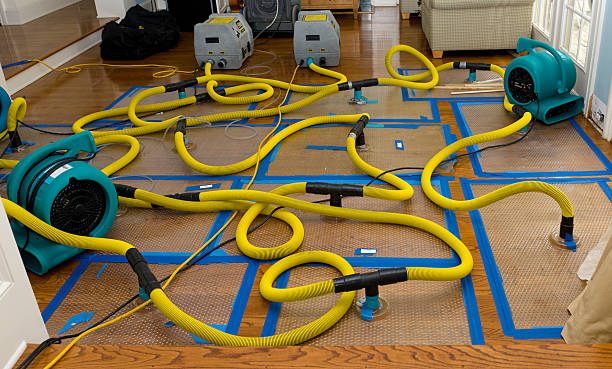 Professional Crawl Space Water Removal technician working in Lucas, TX